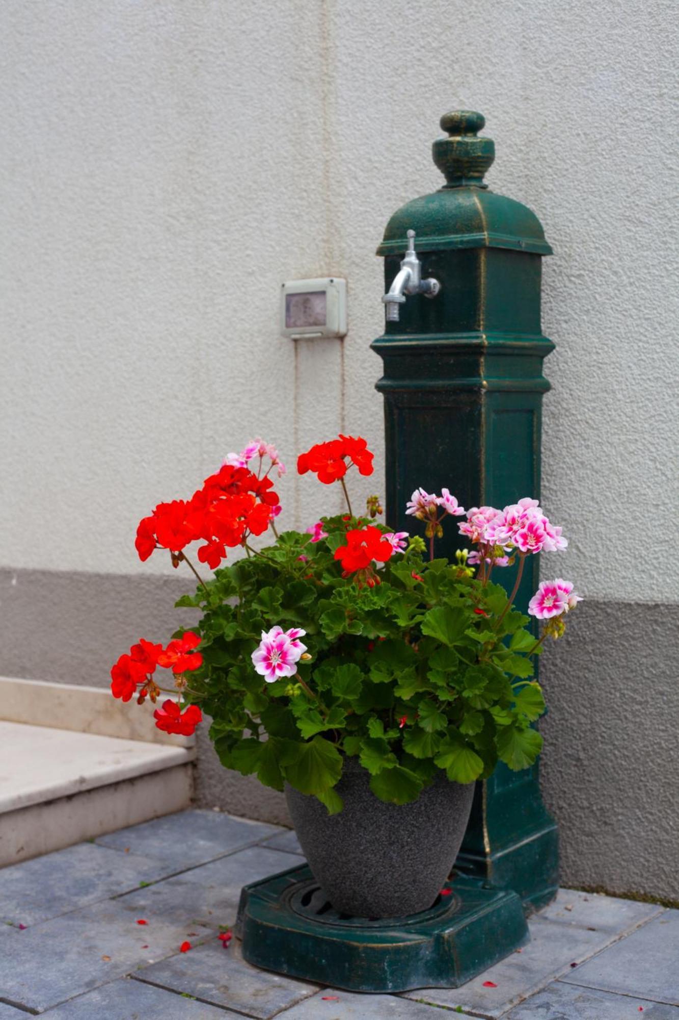 Ferienwohnung Arini White House Hermannstadt Exterior foto